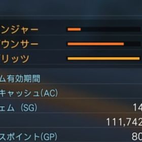 【最強クラス】戦闘力4,956/1,0億メセタ/SG14,000/クラスLvMAX/レア指輪装備 | PSO2NGS(ファンタシースターオンライン2)のアカウントデータ、RMTの販売・買取一覧