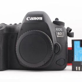 ★極上美品★CANON キヤノン EOS 6D Mark II ボディ★ M9070＃60