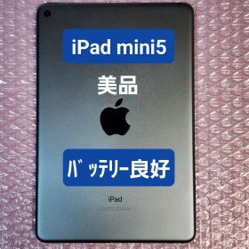 美品 iPad mini 第5世代 バッテリー良好 Wi-Fi 64GB