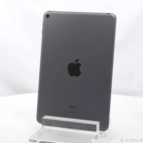 〔中古品〕 iPad mini 第5世代 256GB スペースグレイ MUU32J／A Wi-Fi【269】