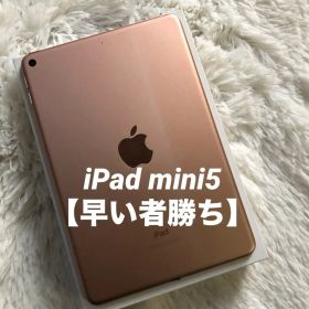 【ラスト1台】iPad mini5 64GB Wi-Fi 【すぐ発送】