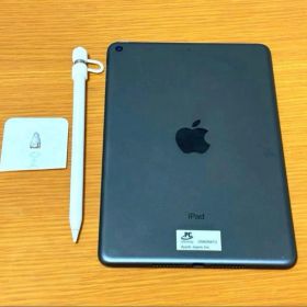 iPad mini 第五世代 64GB タッチペン付き