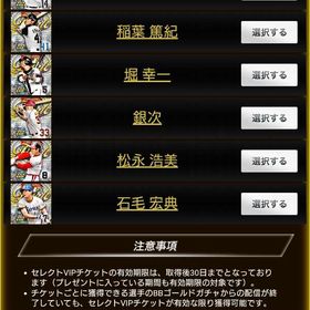 フィナーレVIP②チケット | プロ野球プライドのアカウントデータ、RMTの販売・買取一覧