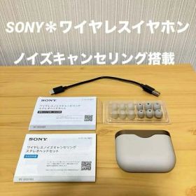 SONY ワイヤレスイヤホン ノイズキャンセリング WF-1000XM3
