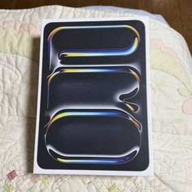 iPad PRO M4 11インチ 256G Wi-Fiセルラーモデル スペースブラック中古 Appleケア、オマケ付き