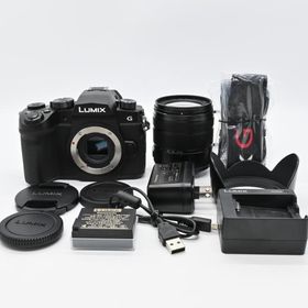 ★極上品★Panasonic LUMIX DC-G99DH 高倍率ズームレンズキット ブラック 519回