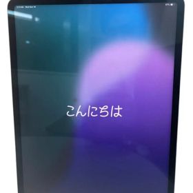 美品 iPad Pro 12.9 第5世代 128GB 箱付 Wi-Fi 動作品