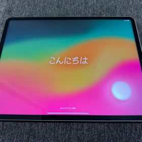 【中古美品】iPad Pro 12.9インチ 第5世代 1TB スペースグレイ