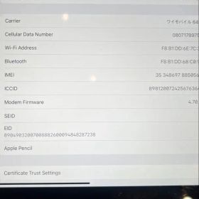 iPad mini (第6世代) 256GB Cellular 本体のみ