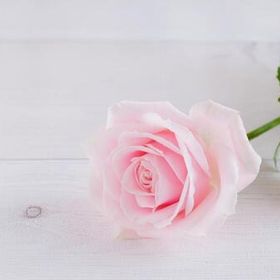 専用出品 | ガルショのアイテム、RMTの販売・買取一覧