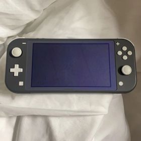 Nintendo Switch Lite グレー 本体