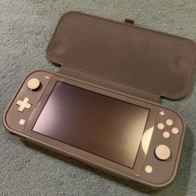 極美品 Nintendo Switch Lite グレー ケース付き