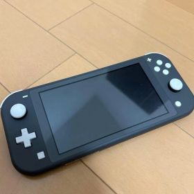 Nintendo Switch Lite グレー 本体のみ