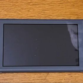 Nintendo Switch Lite グレー 本体 充電コード付き