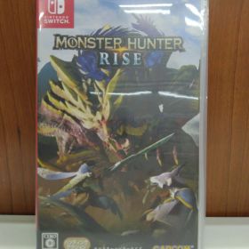 （1）ニンテンドースイッチソフト モンスターハンターライズ
