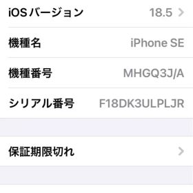 Apple iPhone SE2 本体 1台