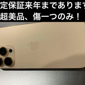 iPhone16 pro max 256GB SIMフリー 一括購入
