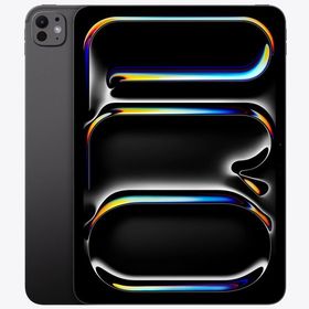 新品未開封 iPad Pro 11インチ M5チップ 256GB スペースブラック Wi-Fiモデル