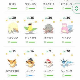 引退アカウント | ポケモンスリープのアカウントデータ、RMTの販売・買取一覧