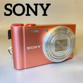 SONY ソニー Cyber-shot DSC-WX350 20x ジャンク