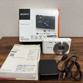 【美品✨】SONY Cyber-shot DSC-WX350 コンデジ 作例あり