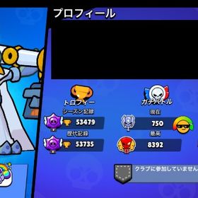 ✨引退垢✨🏆53479 パワー11×40体！スキン豊富引退垢！ | ブロスタ(ブロウルスターズ)のアカウントデータ、RMTの販売・買取一覧