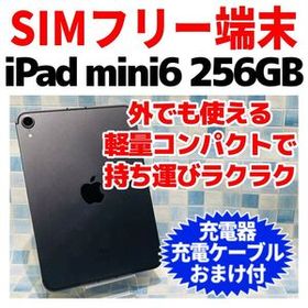 SIMフリー iPad mini 第6世代 本体 256GB 900 スペースグレイ 電池良好