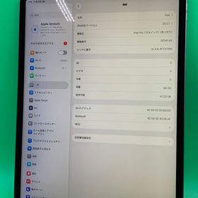 ★本体美品 iPad Pro 12.9インチ 第3世代 Wi-Fi 64GB スペースグレー