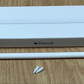 替ペン先2つ付 Apple Pencil 2nd generation 第2世代