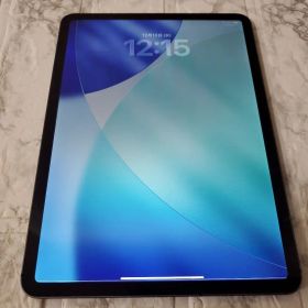 223 iPad pro 11インチ 1世代 64GB スペースグレイ