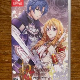 Princess Arthur プリンセスアーサー 通常版 Switch 美品