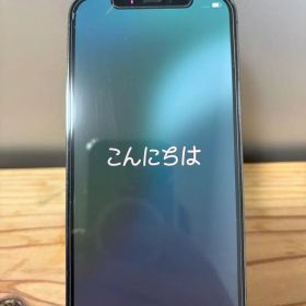 Apple iPhone 12 Pro 256G 美品
