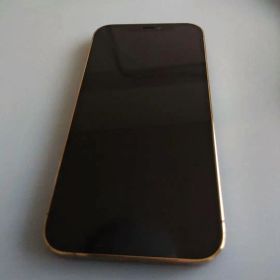 docomo Apple iPhone 12 pro