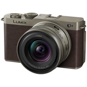 パナソニック Panasonic LUMIX S9 広角ズームレンズキット ミラーレス一眼カメラ ［ズームレンズ］ チタンゴールド DC-S9N-N