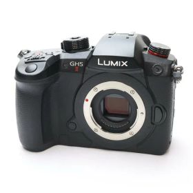【中古】 《良品》 Panasonic LUMIX GH5II ボディ DC-GH5M2【背面カバー部組SDカードスロットドア部品交換/各部点検済】 [ デジタルカメラ ]