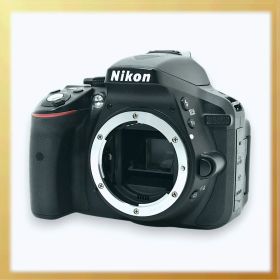 極美品 ｜Nikon D5300 2400万画素 3.2型液晶 デジタル一眼レフカメラ｜ショット数 9,128 枚 ｜U046