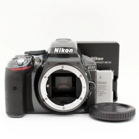 シャッター数21657枚【極上品】Nikon D5300 ボディ グレー#6839