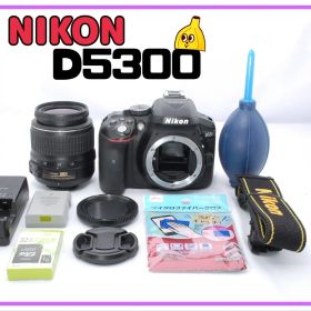 すぐ使えるセット！Nikon D5300 高画質 37標準（SDカード付）