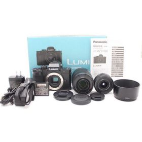 パナソニック(Panasonic)のショット数312回！PANASONIC DC-G100D ブラック (ミラーレス一眼)