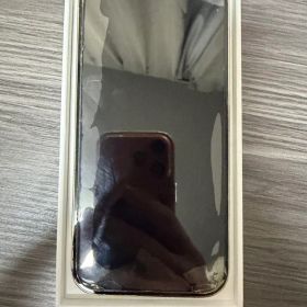 Apple iPhone 14 Pro シルバー 本体