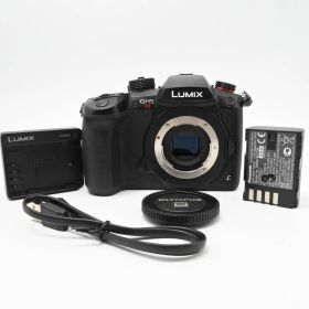 パナソニック ミラーレス一眼カメラ ルミックス GH5S ボディ ブラック DC-GH5S-K