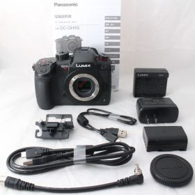 ☆新品級・ショット数139☆ Panasonic LUMIX GH5S ボディ ブラック DC-GH5S-K パナソニック ミラーレス一眼カメラ ルミックス #4417