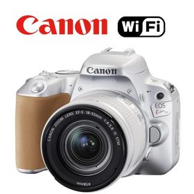 キヤノン Canon EOS kiss X9 レンズセット シルバー デジタル 一眼レフ カメラ 中古