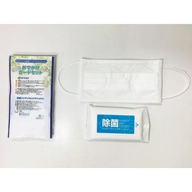 おでかけガードセットE6 J-E6 マスク 除菌ウェットティッシュ