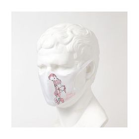 マスク MASK BOX foxy illustrations (FOXY)