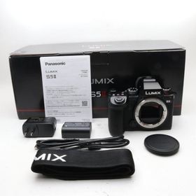 パナソニック(Panasonic) パナソニック フルサイズミラーレス一眼カメラ S5M2 ボディ ブラック DC-S5M2