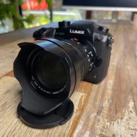 【美品】Panasonic LUMIX GH5 ボディ本体＋SDカード2枚付き