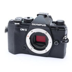 《美品》OLYMPUS OM-D E-M5 Mark III ボディ