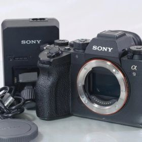★良品★ SONY α9II 一眼レフ #2088