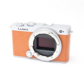 《美品》Panasonic LUMIX S9 ボディ DC-S9